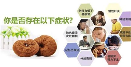 杨浦破壁灵芝孢子粉大量出售