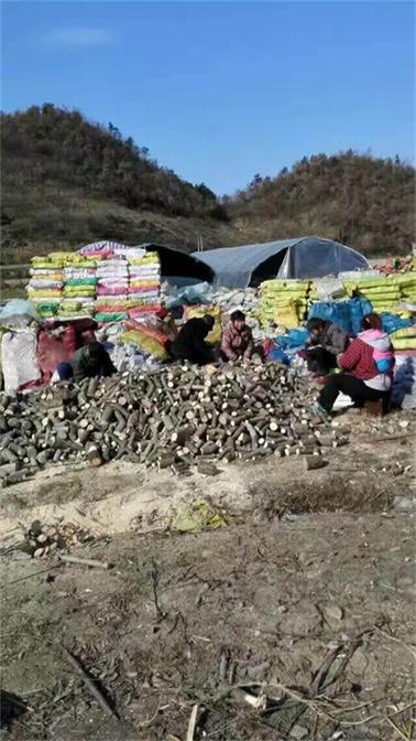 破壁孢子粉产地直销