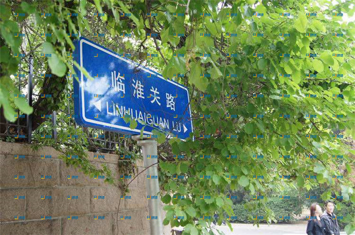杨浦路名牌批发