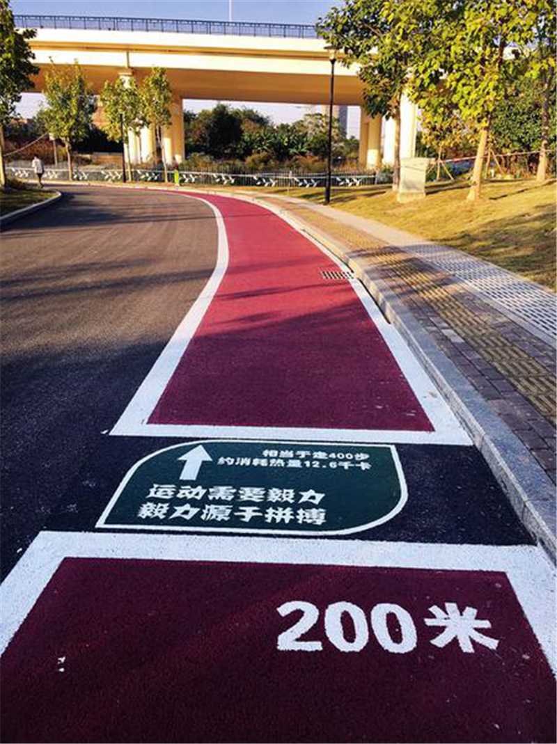 宝山健康步道线路图